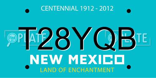 T28YQB New Mexico License Plate