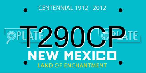 T290CP New Mexico License Plate