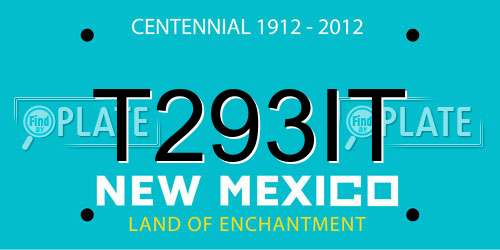 T293IT New Mexico License Plate