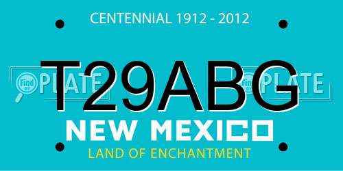 T29ABG New Mexico License Plate