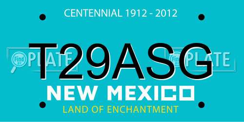 T29ASG New Mexico License Plate