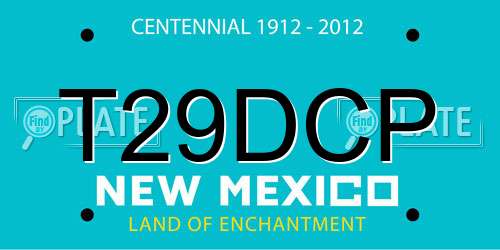T29DCP New Mexico License Plate
