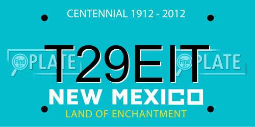 T29EIT New Mexico License Plate