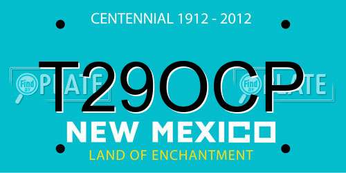 T29OCP New Mexico License Plate