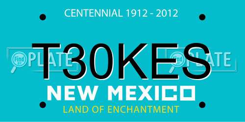 T30KES New Mexico License Plate