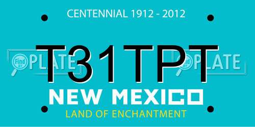 T31TPT New Mexico License Plate