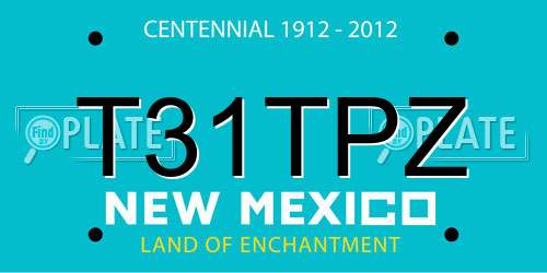 T31TPZ New Mexico License Plate