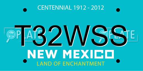T32WSS New Mexico License Plate