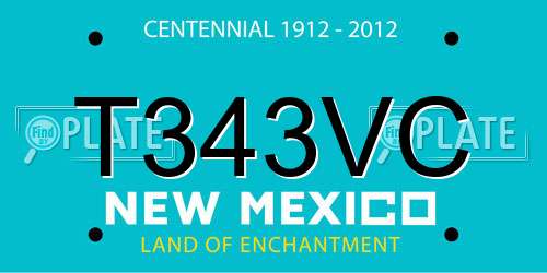 T343VC New Mexico License Plate