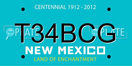 T34BCG New Mexico License Plate