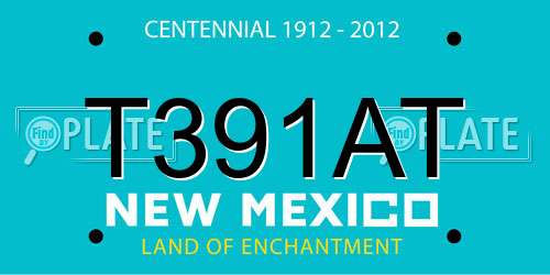 T391AT New Mexico License Plate