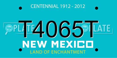 T4065T New Mexico License Plate