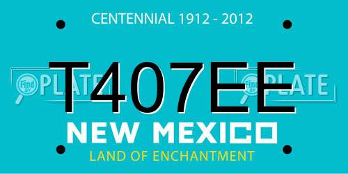 T407EE New Mexico License Plate