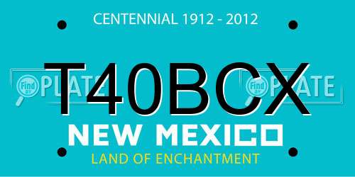 T40BCX New Mexico License Plate