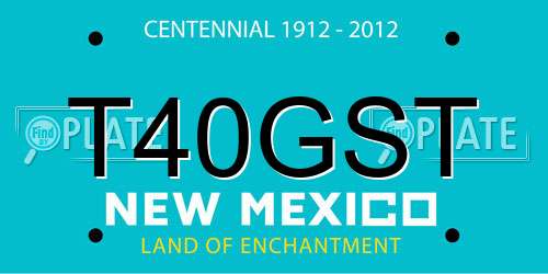 T40GST New Mexico License Plate