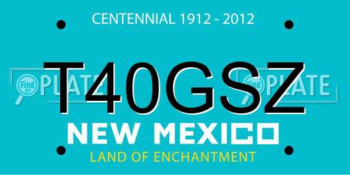T40GSZ New Mexico License Plate