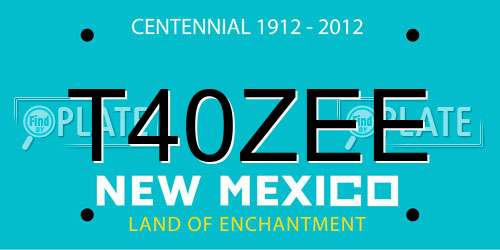 T40ZEE New Mexico License Plate