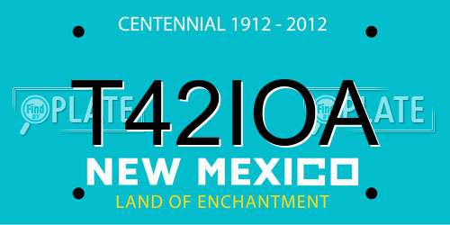 T42IOA New Mexico License Plate