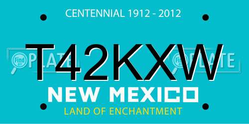 T42KXW New Mexico License Plate