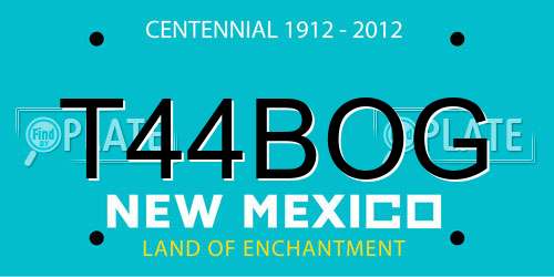 T44BOG New Mexico License Plate