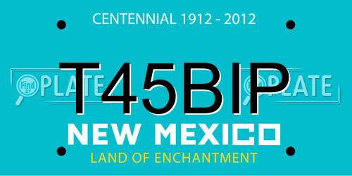 T45BIP New Mexico License Plate