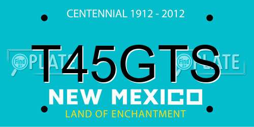 T45GTS New Mexico License Plate