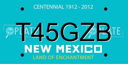 T45GZB New Mexico License Plate