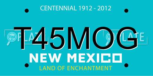 T45MOG New Mexico License Plate