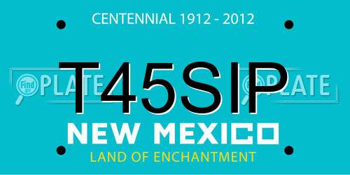 T45SIP New Mexico License Plate