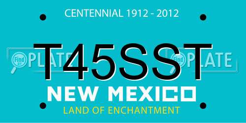 T45SST New Mexico License Plate