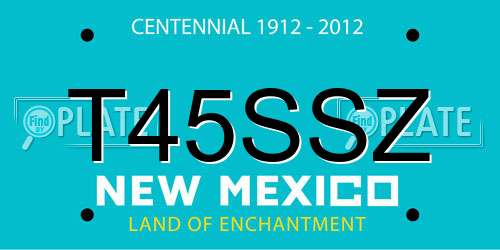 T45SSZ New Mexico License Plate