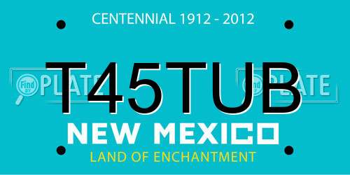 T45TUB New Mexico License Plate