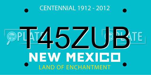 T45ZUB New Mexico License Plate