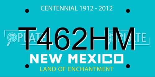 T462HM New Mexico License Plate