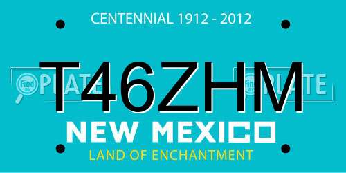 T46ZHM New Mexico License Plate
