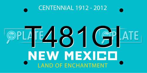 T481GI New Mexico License Plate