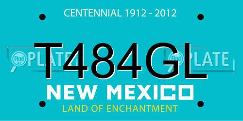 T484GL New Mexico License Plate