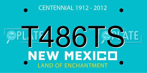 T486TS New Mexico License Plate