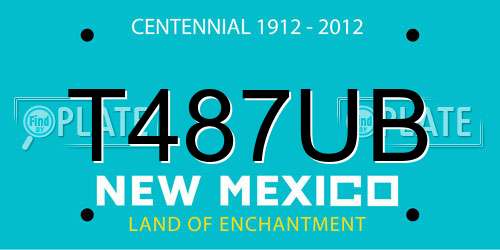 T487UB New Mexico License Plate