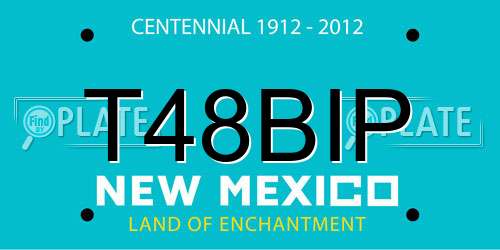 T48BIP New Mexico License Plate
