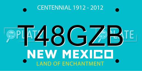 T48GZB New Mexico License Plate