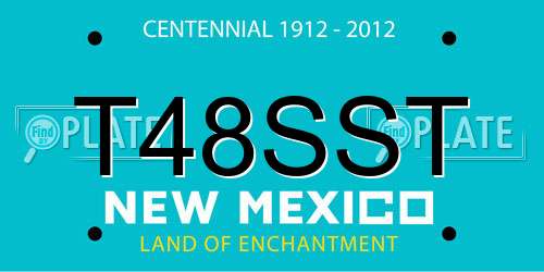 T48SST New Mexico License Plate