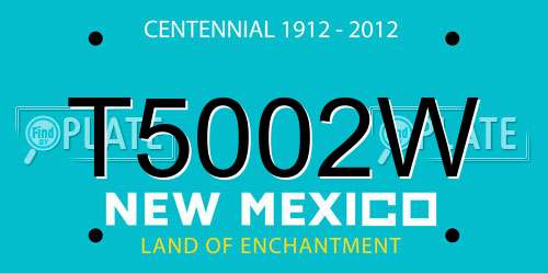 T5002W New Mexico License Plate