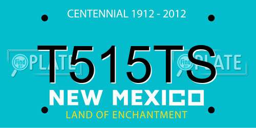 T515TS New Mexico License Plate