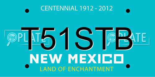 T51STB New Mexico License Plate