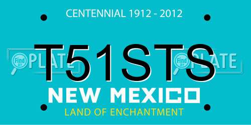 T51STS New Mexico License Plate
