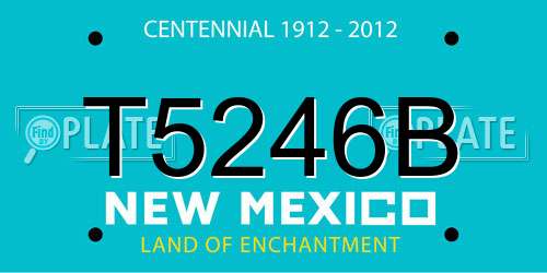 T5246B New Mexico License Plate