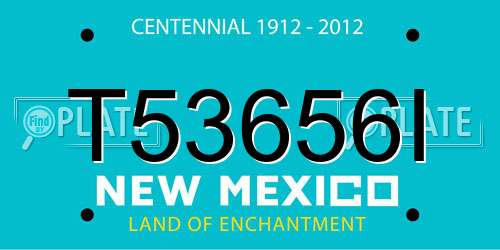 T53656I New Mexico License Plate