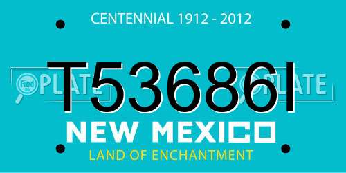 T53686I New Mexico License Plate