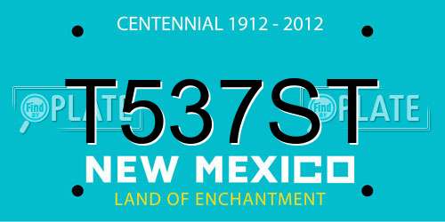 T537ST New Mexico License Plate